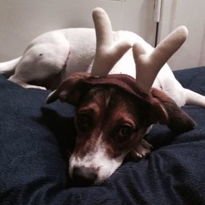 Meet your Posher, Shannan